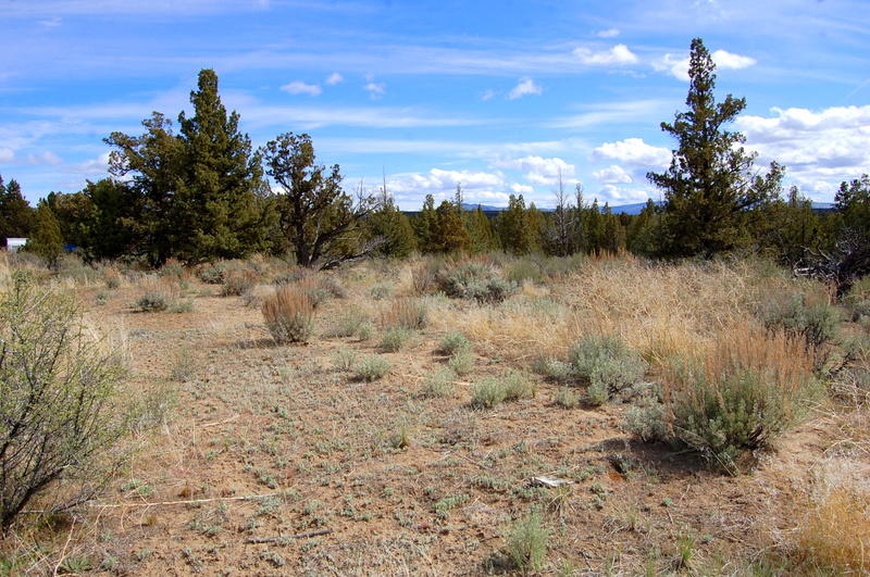7400 Crow Road Prineville, OR 97754 - Photo 5 of 12 DSC_3621
