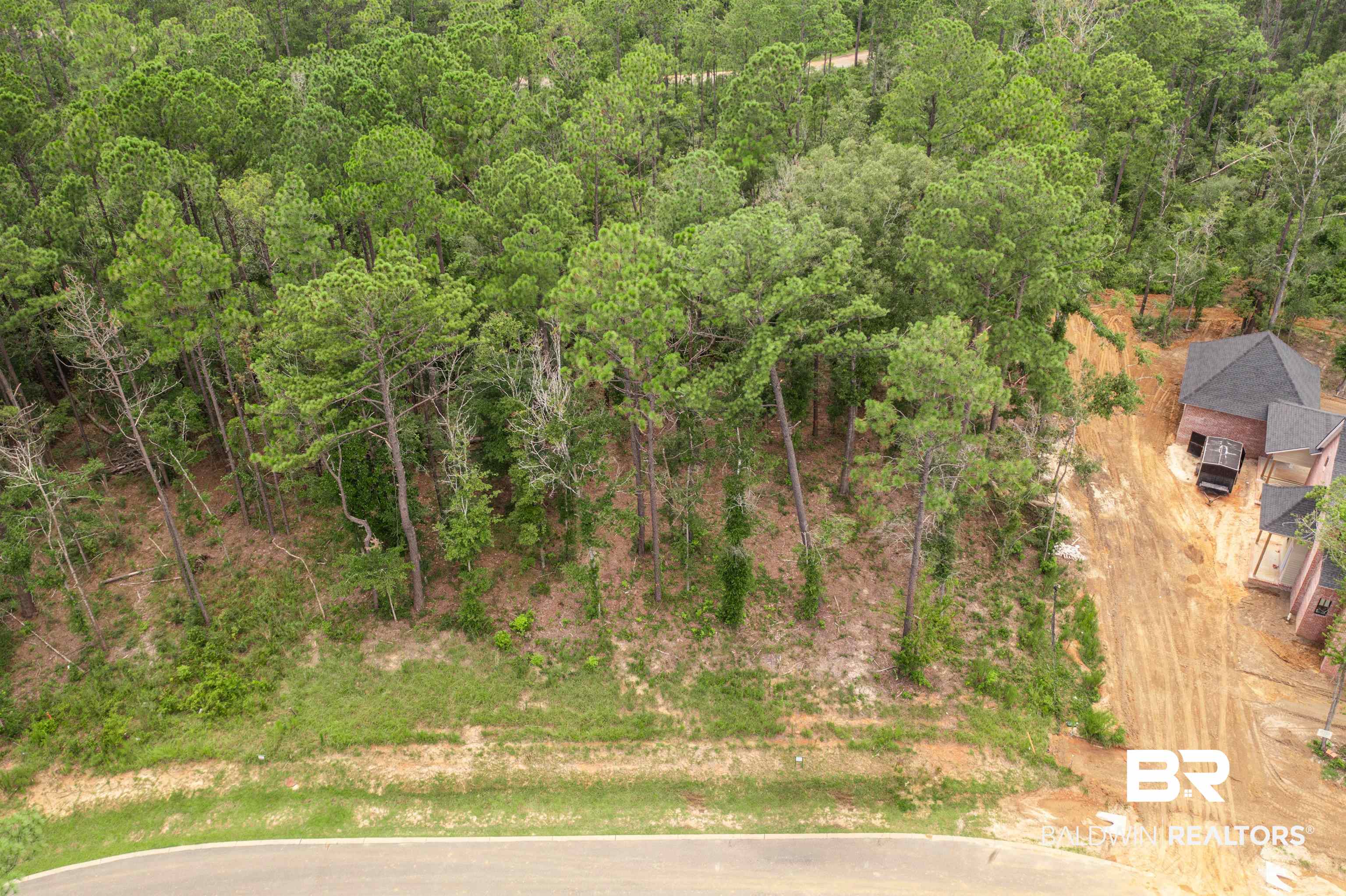 Lot 13 Petiole Drive Fairhope, AL 36532 - Photo 11 of 15