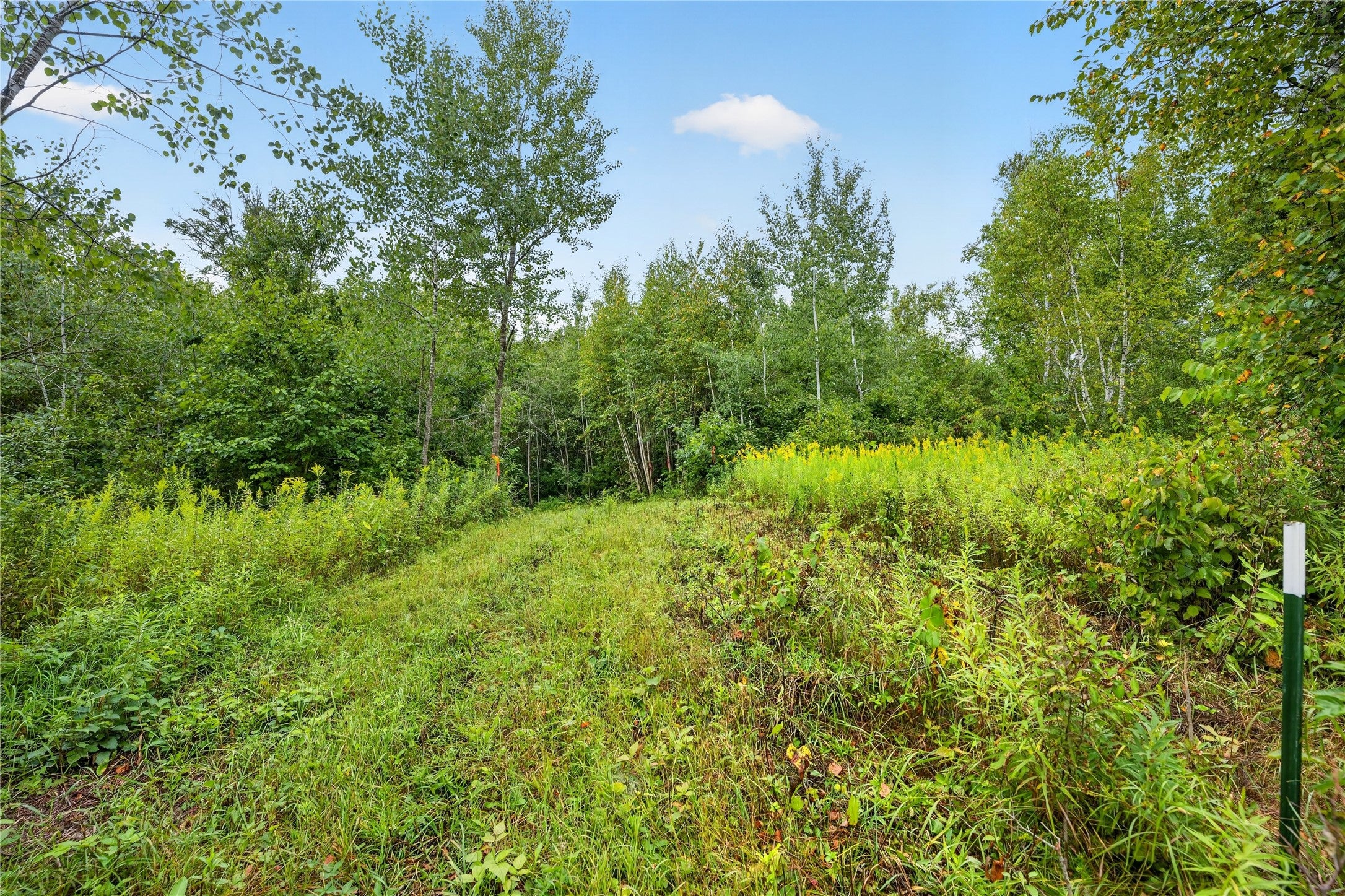 0 Fye Road Trego, WI 54888 - Photo 3 of 14 Gallery Image 3