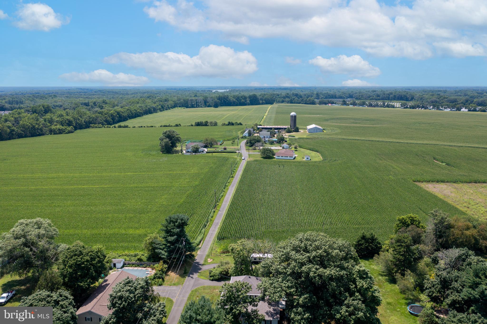 55 Arneys Mt Road Pemberton, NJ 08068 - Photo 21 of 51