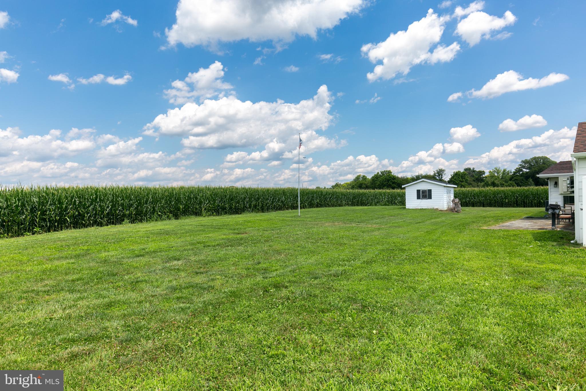 55 Arneys Mt Road Pemberton, NJ 08068 - Photo 6 of 51