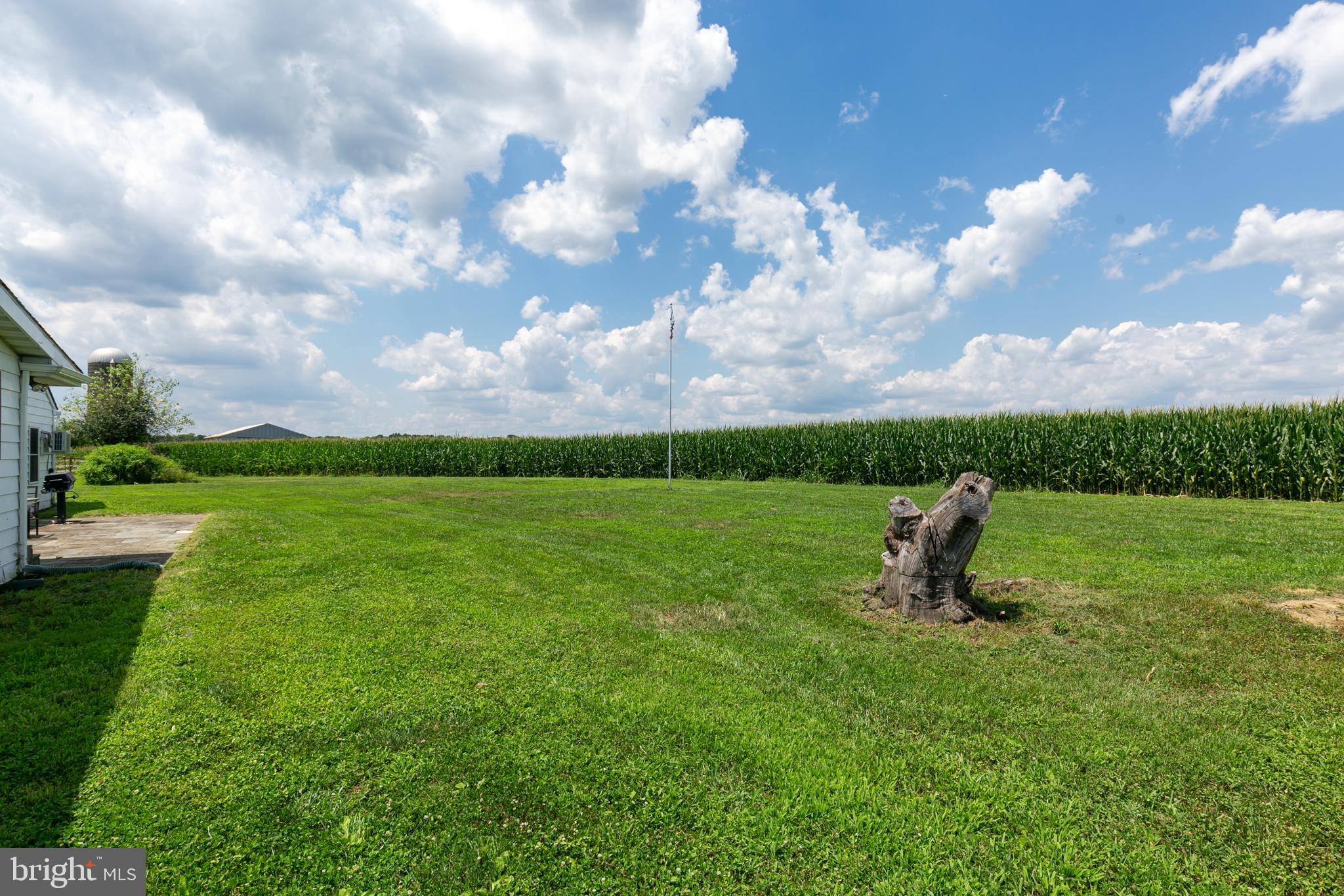 55 Arneys Mt Road Pemberton, NJ 08068 - Photo 8 of 51