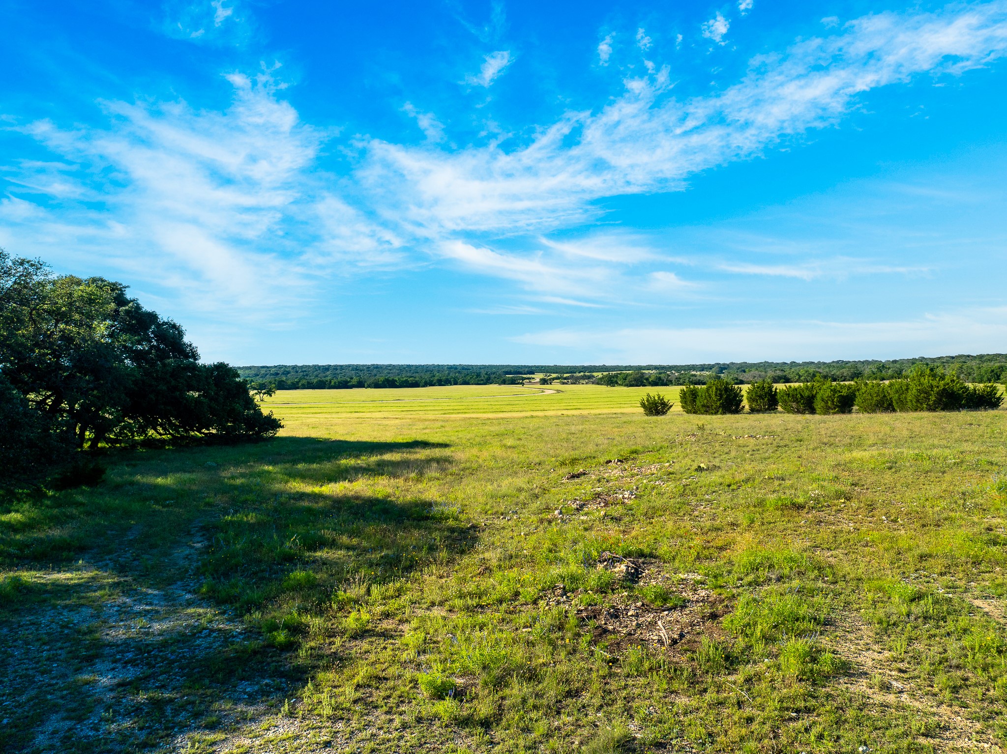 2 Feild Ranch Road Lampasas, TX 76550 - Photo 21 of 40 Acres of verdant pastureland under an azure sky offer a tranquil, open setting.