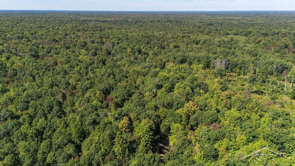 West Olson Road Shepherd, MI 48883 - Photo 1 of 44 50222545-59ba7b62-b604-4100-a916-576718d886ff.JPG