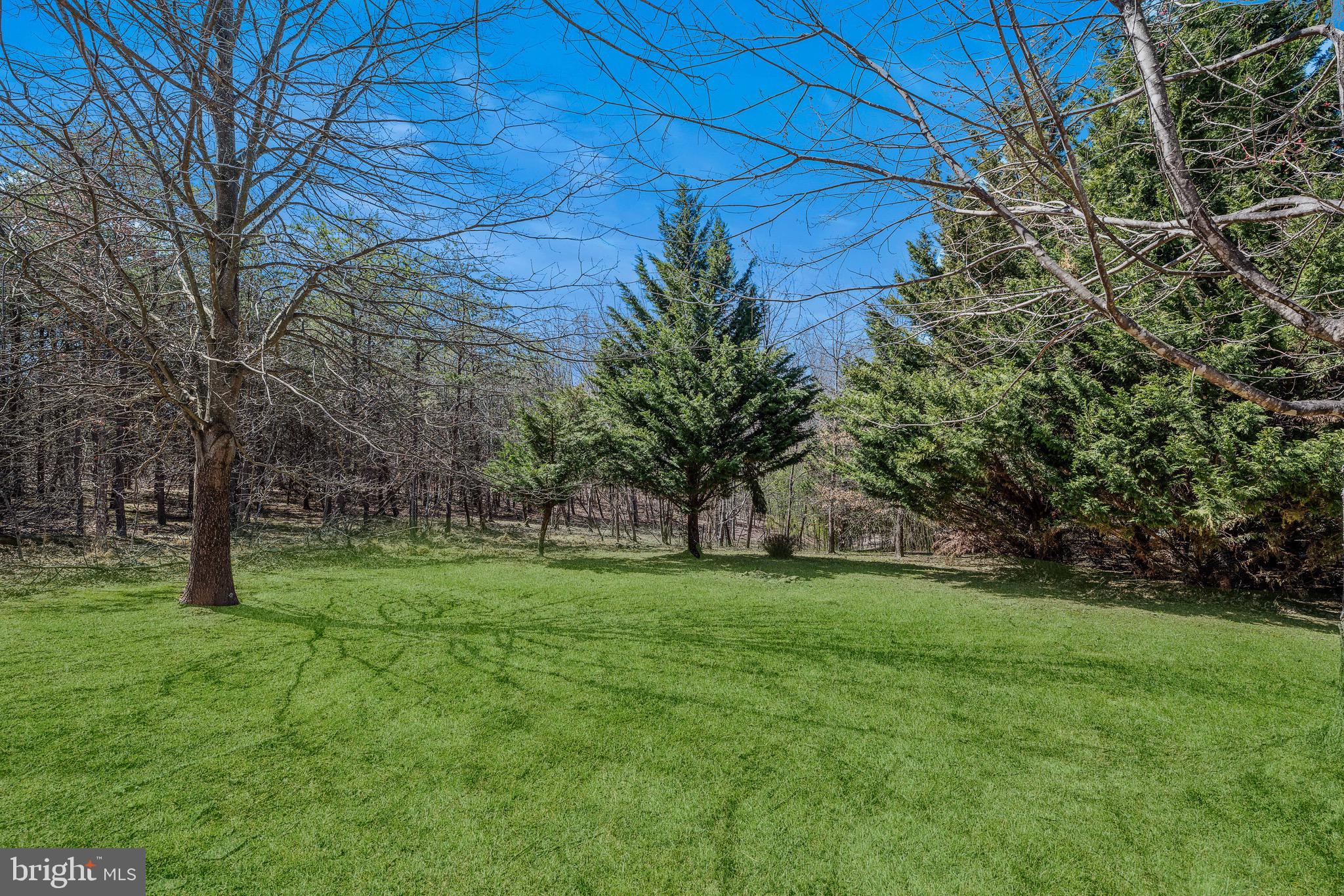 72 Medfords Lane Berkeley Springs, WV 25411 - Photo 43 of 52 a view of a grassy field with trees