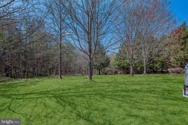 a view of a grassy field with trees