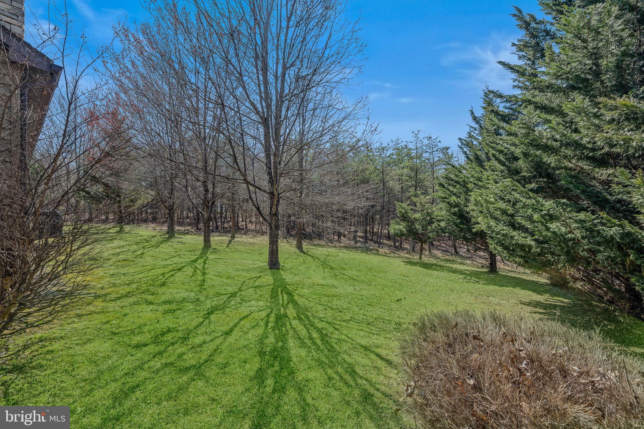 72 Medfords Lane Berkeley Springs, WV 25411 - Photo 45 of 52 a big yard with lots of green space and deers