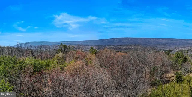 a view of a city with lush green forest
