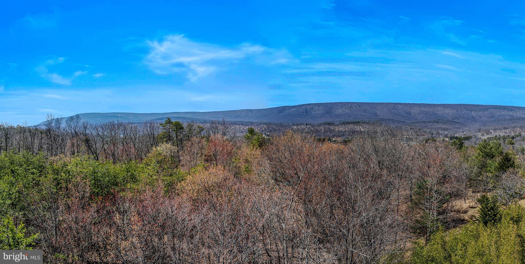 72 Medfords Lane Berkeley Springs, WV 25411 - Photo 46 of 52 a view of a city with lush green forest