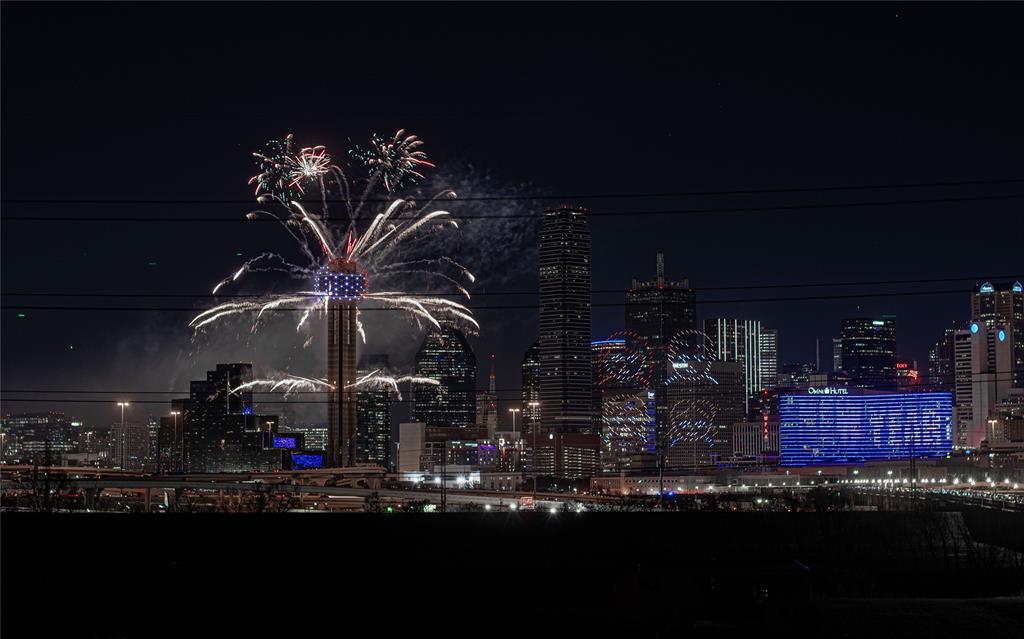 432 Trinity River Circle Dallas, TX 75203 - Photo 4 of 40 Seller took this photo from the rooftop!