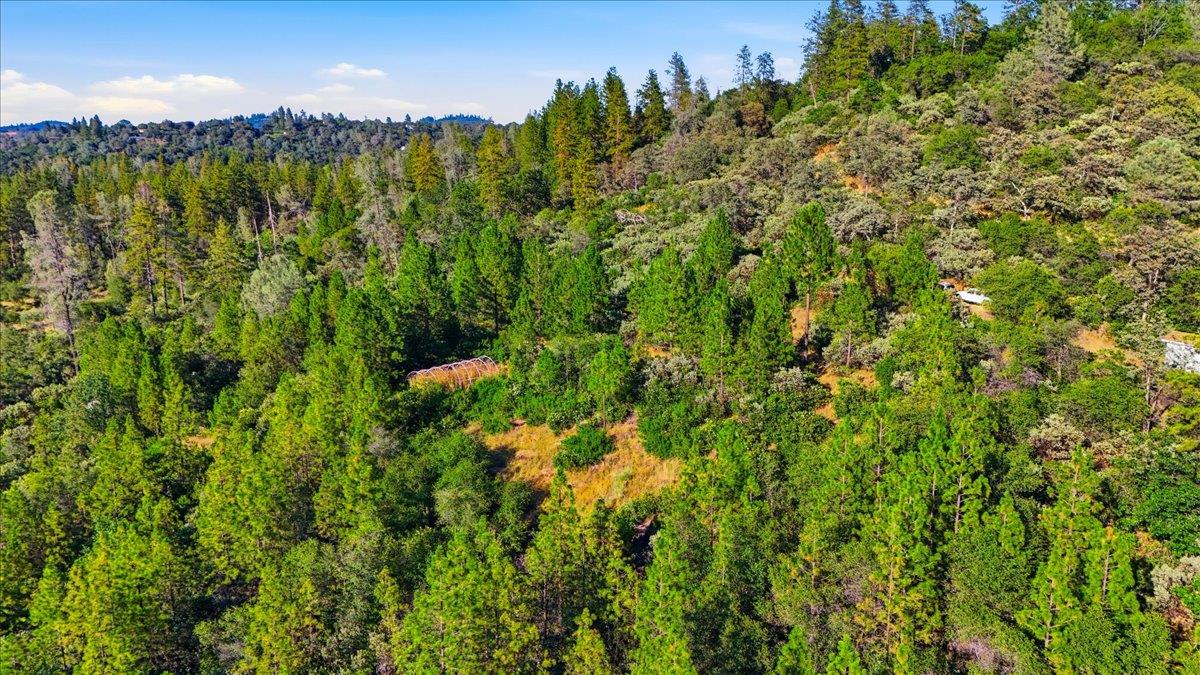 17436 Black Forest Road Penn Valley, CA 95946 - Photo 20 of 36
