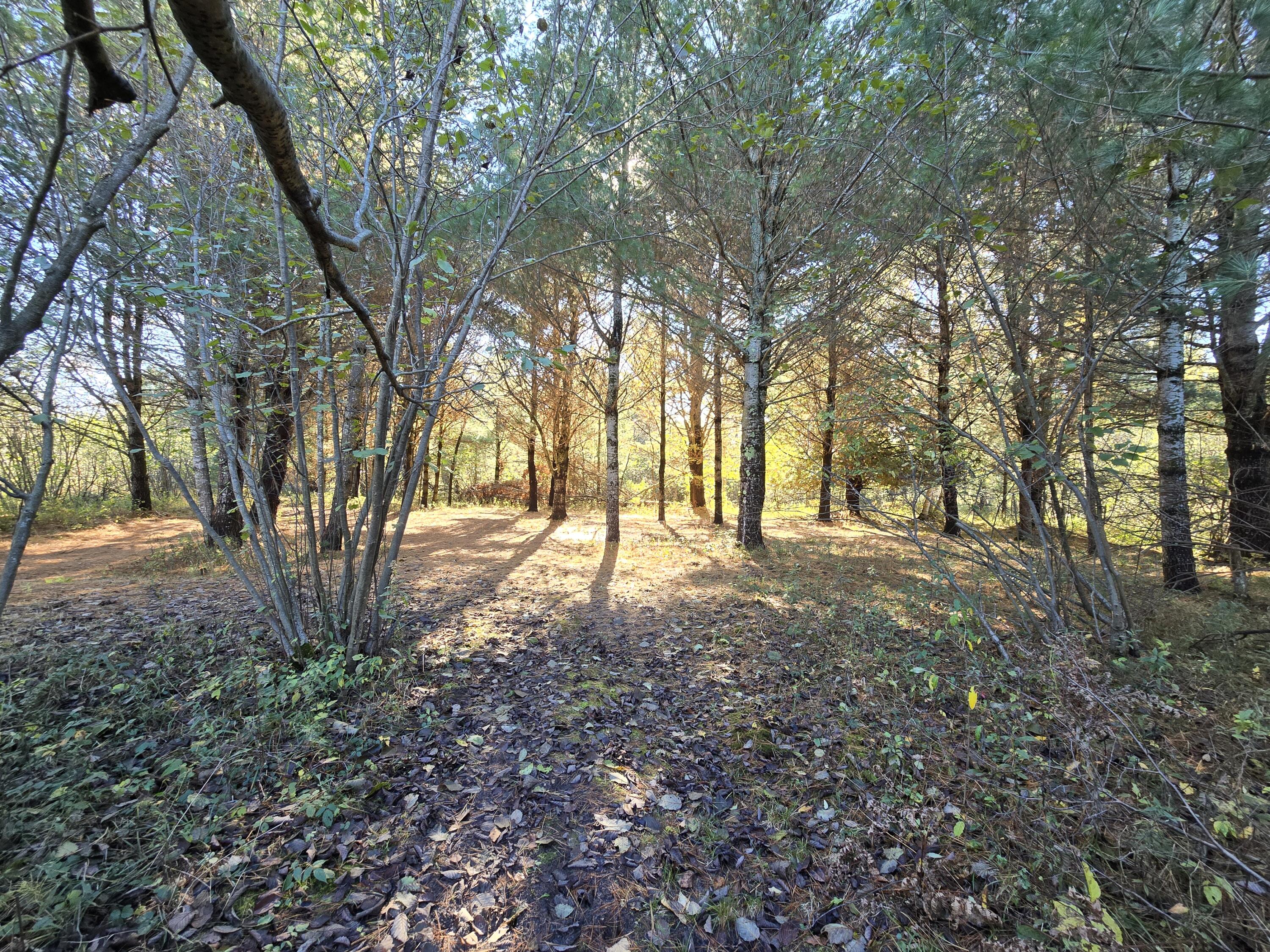 10652 North River Road, Unit C Irons, MI 49644 - Photo 13 of 31 20251025_122723