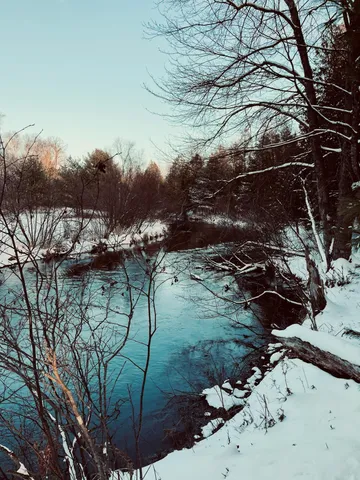 $199,000 | 10652 North River Road, Unit C, Irons, MI 49644