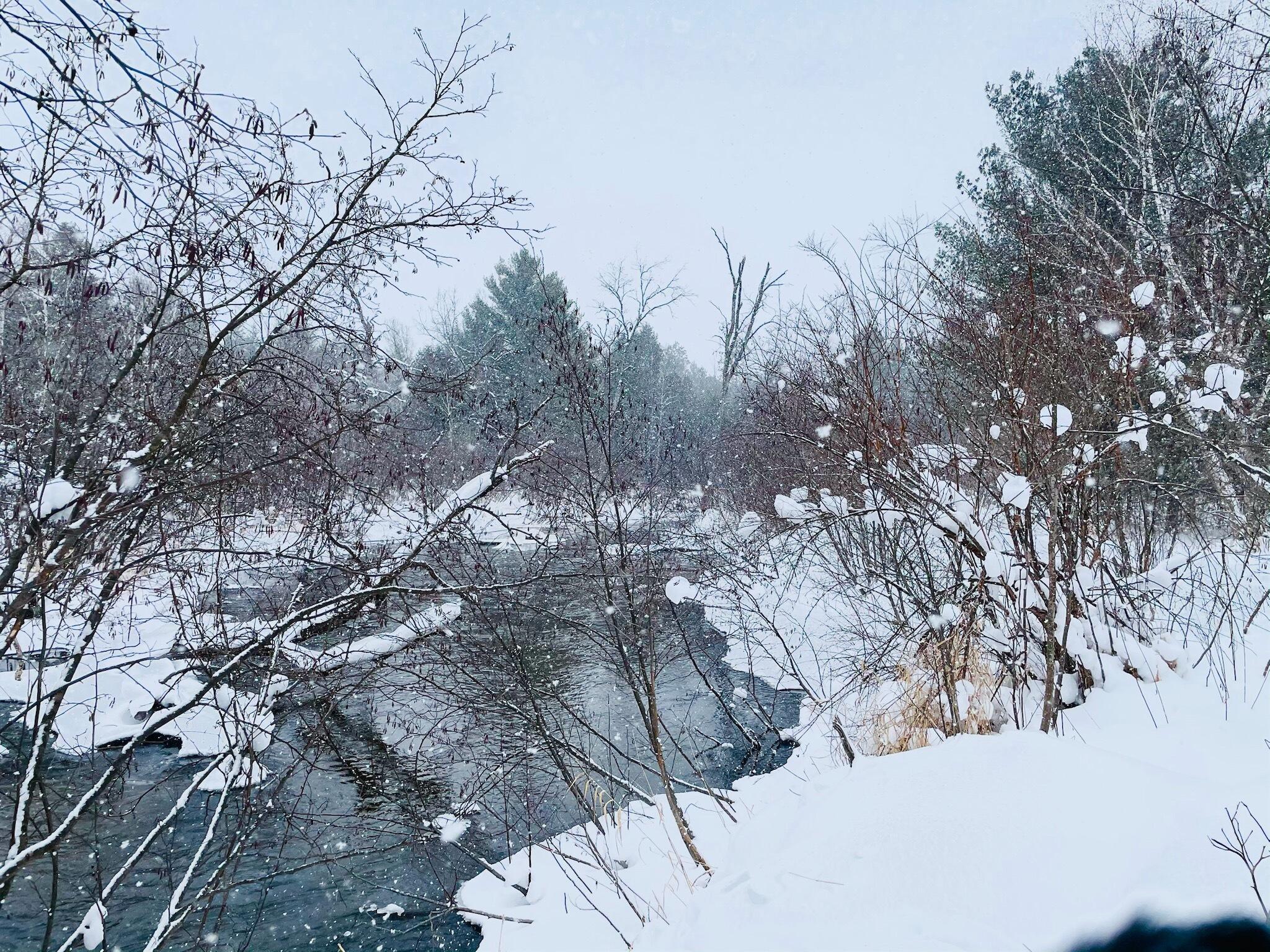 10652 North River Road, Unit C Irons, MI 49644 - Photo 16 of 31 IMG_2931.heic