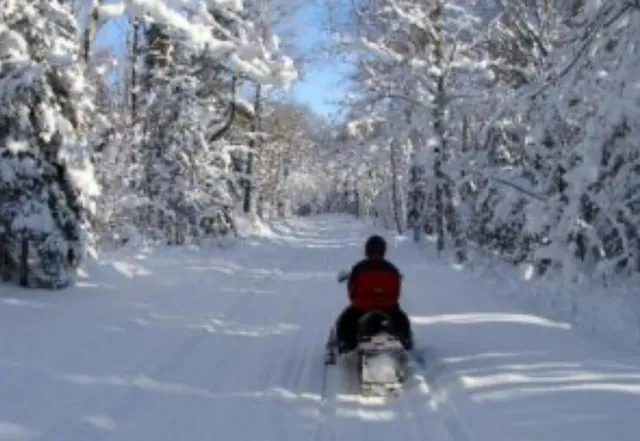 $199,000 | 10652 North River Road, Unit C, Irons, MI 49644