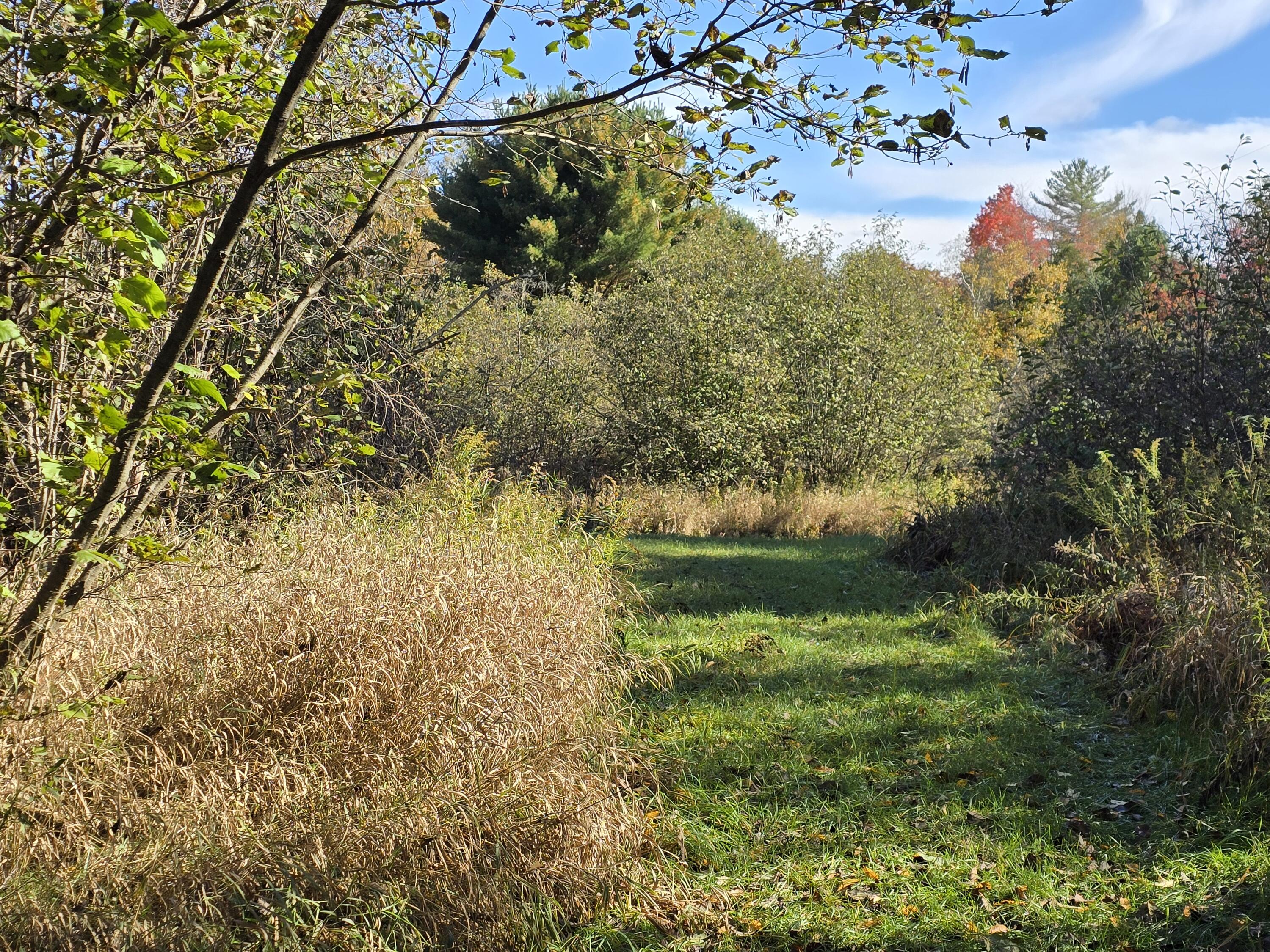 10652 North River Road, Unit C Irons, MI 49644 - Photo 30 of 31 20251025_122956