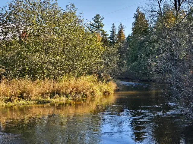 $199,000 | 10652 North River Road, Unit C, Irons, MI 49644