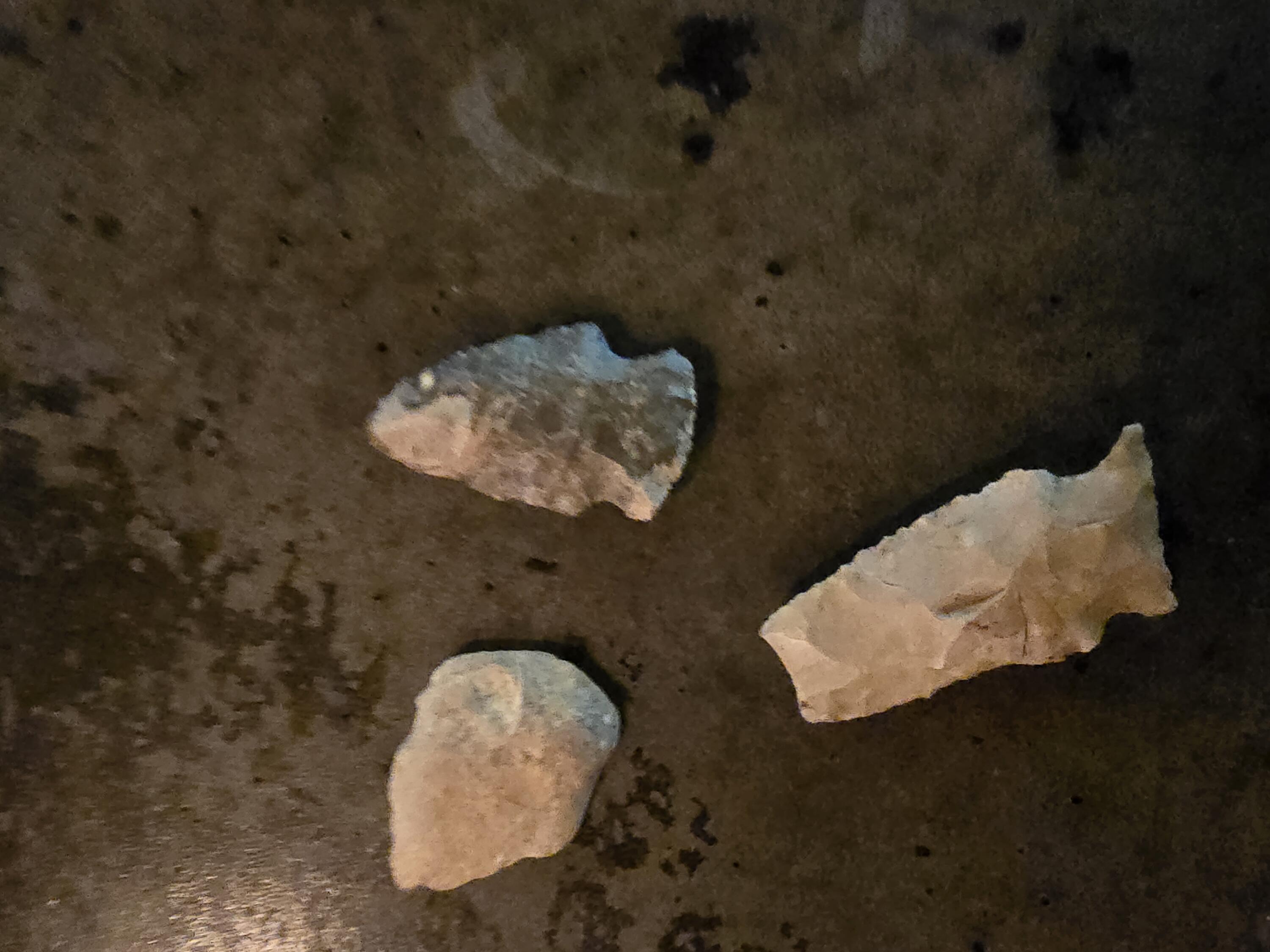 10652 North River Road, Unit C Irons, MI 49644 - Photo 8 of 31 1000031640