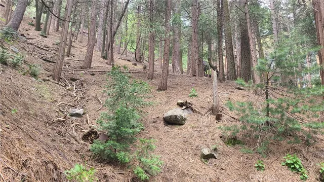 a view of a backyard of the house