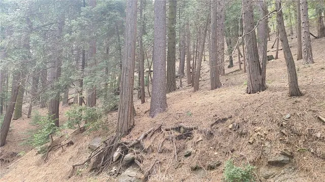 a view of a backyard of the house