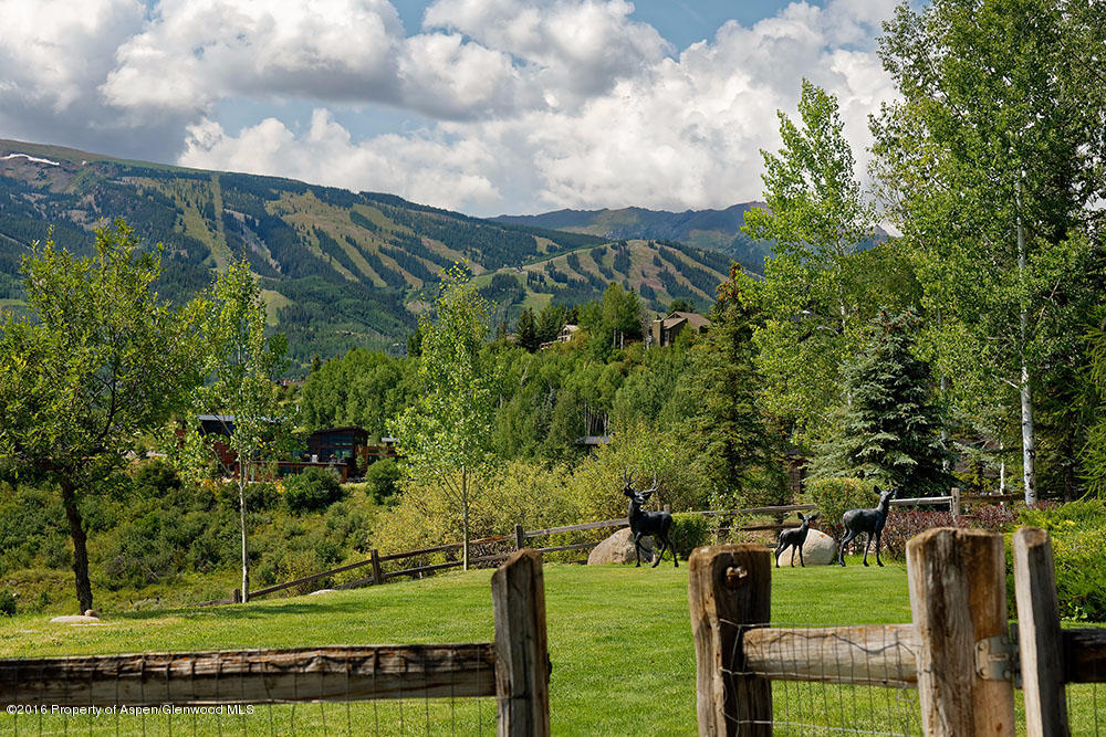 446 Oak Ridge Road Snowmass Village, CO 81615 - Photo 3 of 40 446OakRidge_WEB013