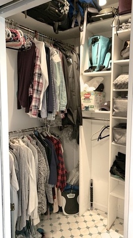 438 West Surf Street, Unit 3B Chicago, IL 60657 - Photo 30 of 36 a view of walk in closet with clothes and shoes