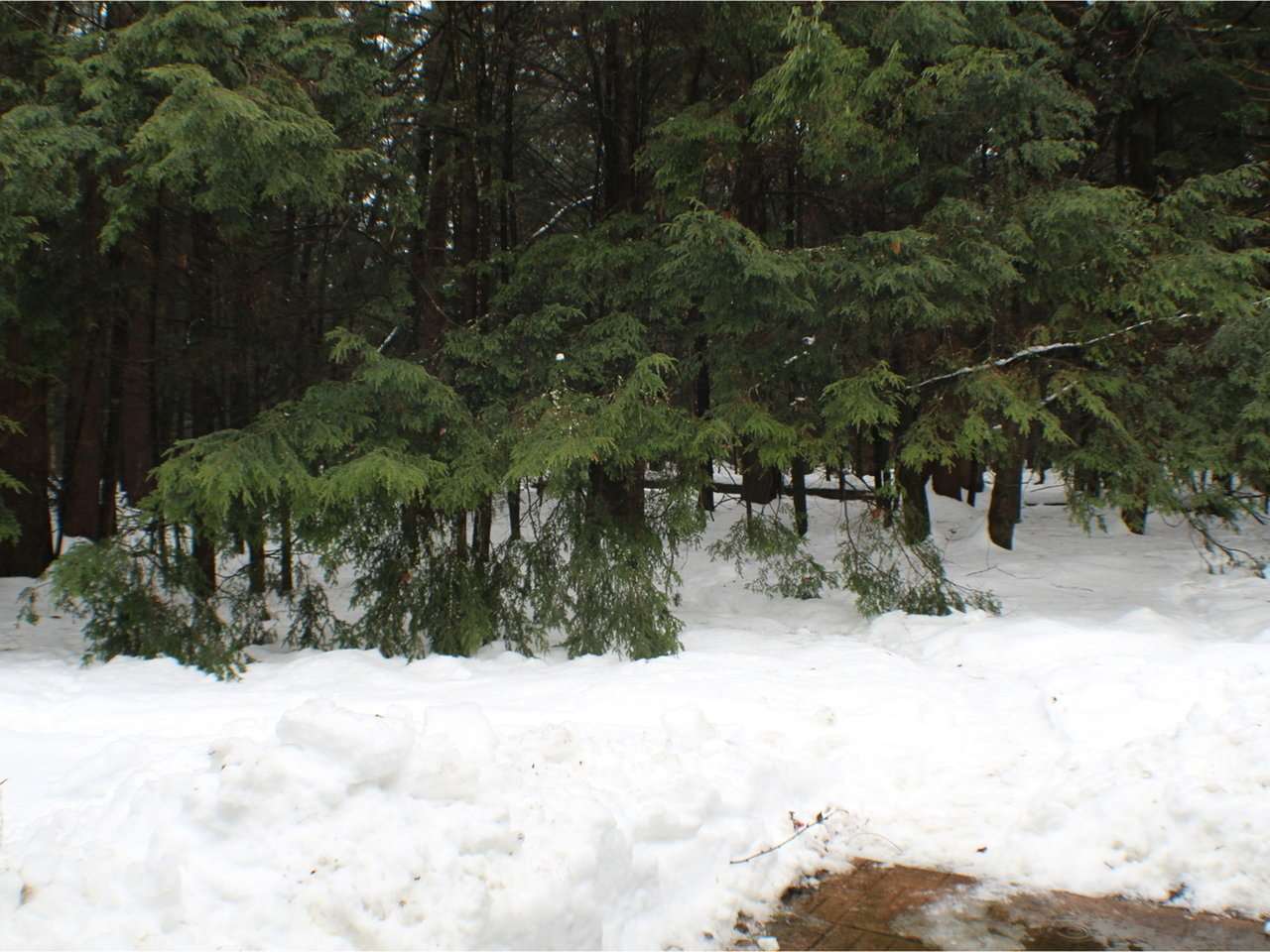 48 F Starbird Road Jericho, VT 05465 - Photo 22 of 31