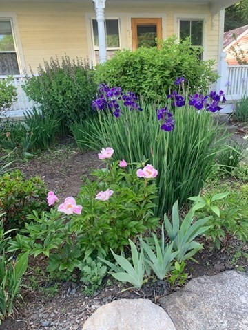 180 Summer Street Amherst, MA 01002 - Photo 4 of 42