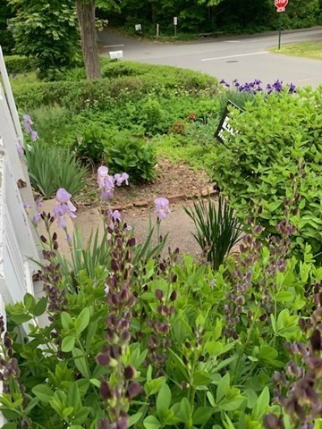 180 Summer Street Amherst, MA 01002 - Photo 42 of 42