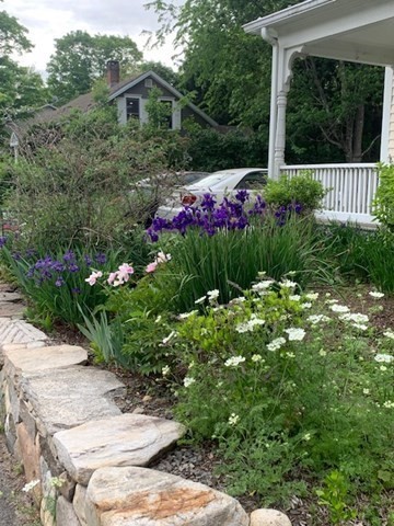 180 Summer Street Amherst, MA 01002 - Photo 5 of 42