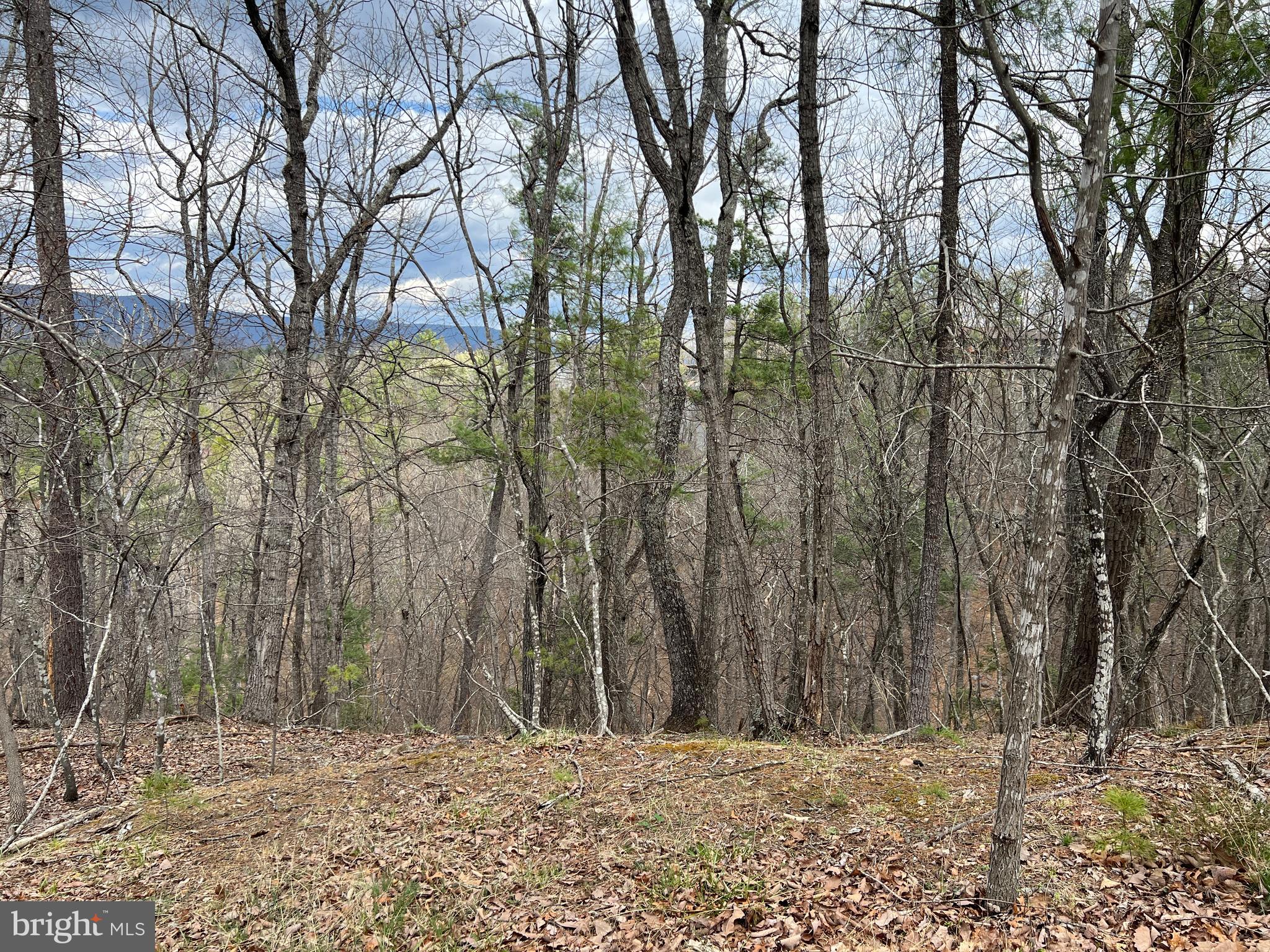 0 Valley View Road Mount Jackson, VA 22842 - Photo 4 of 4