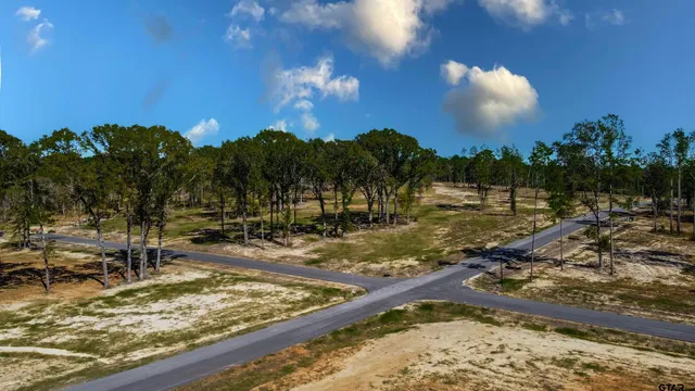 a view of an ocean from a yard