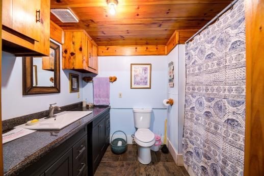 705 Chestnut Mountain Road Reliance, TN 37369 - Photo 16 of 35 Gallery Image 16
