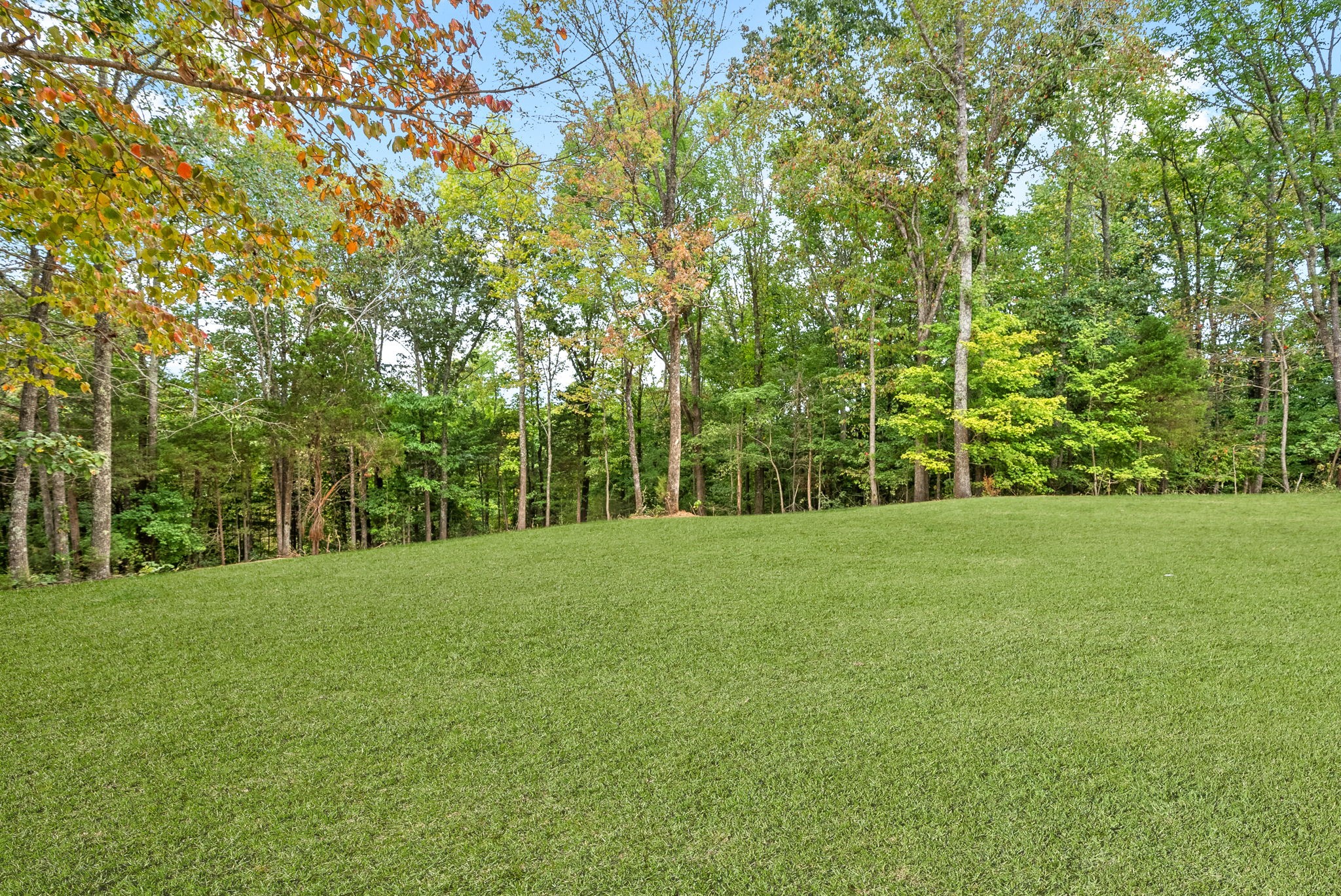 3825 Tarsus Church Road Palmyra, TN 37142 - Photo 42 of 53 Gallery Image 42