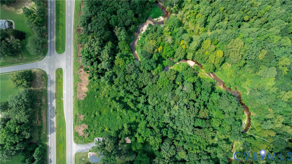 2100 East Hundred Road Chester, VA 23836 - Photo 5 of 6 a view of a lush green forest with lots of trees