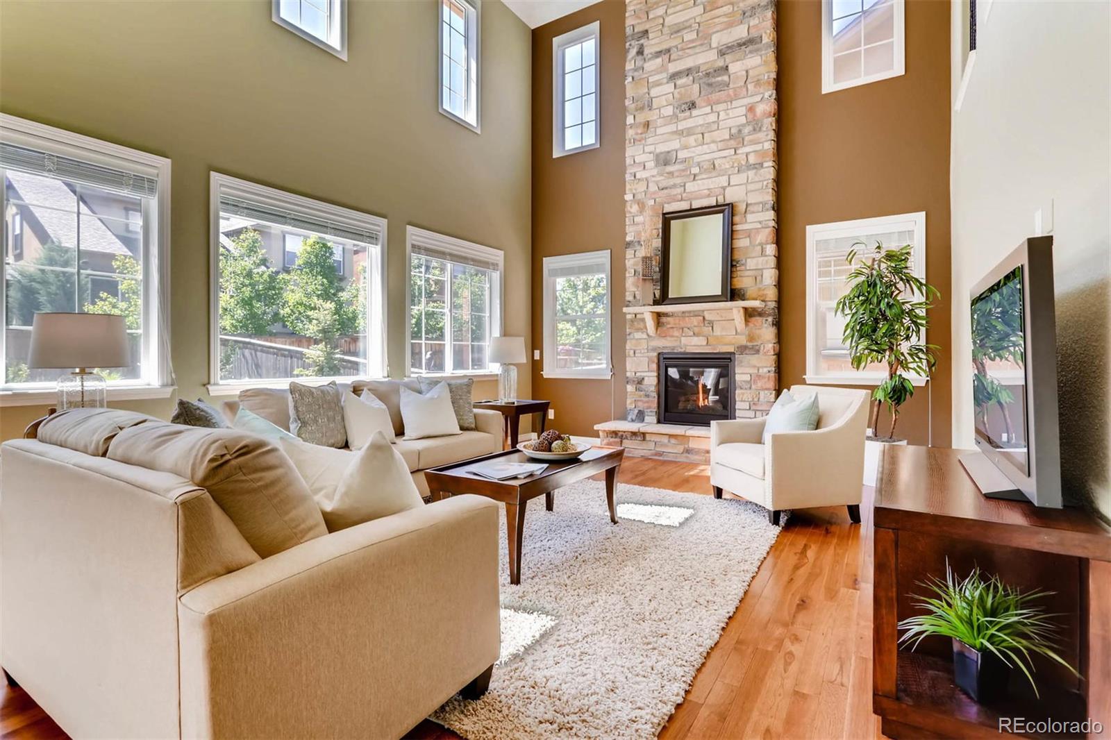 10934 Ashurst Way Highlands Ranch, CO 80130 - Photo 3 of 21 Gallery Image 3