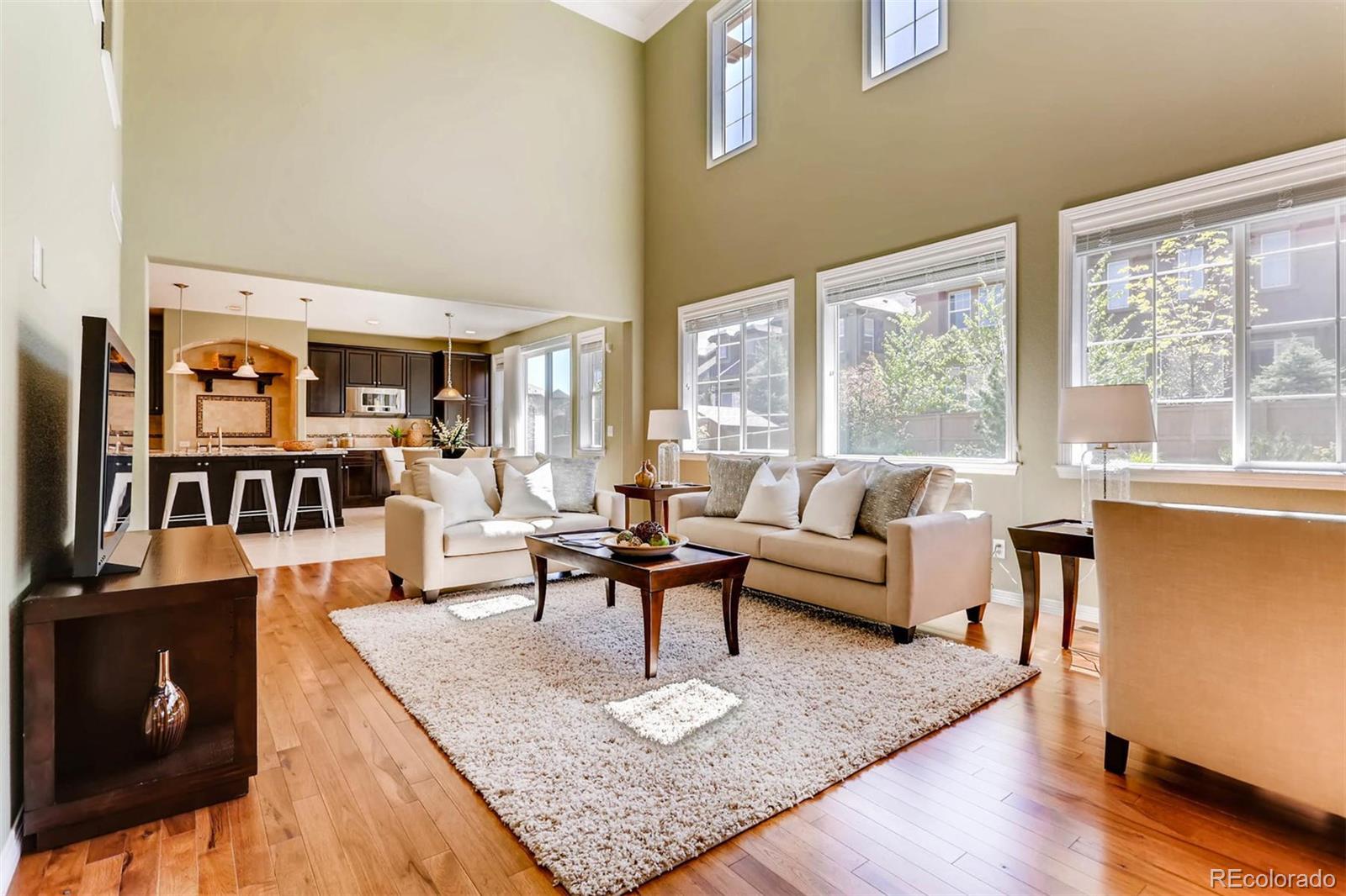 10934 Ashurst Way Highlands Ranch, CO 80130 - Photo 4 of 21 Gallery Image 4