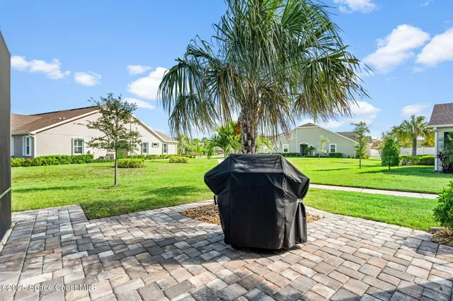 a view of a park with plants and palm trees