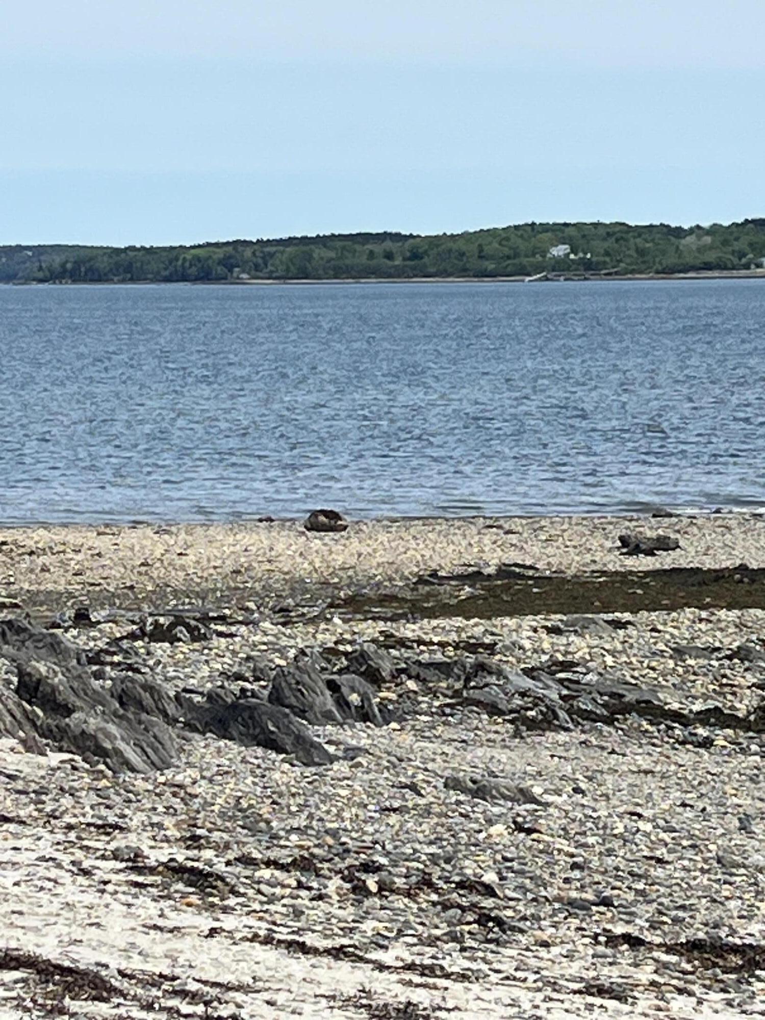 84 Stovers Point Road Harpswell, ME 04079 - Photo 22 of 25 IMG_5018
