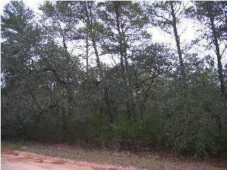 Xxx Taurus Drive Santa Rosa Beach, FL 32459 - Photo 1 of 4 Primary Photo