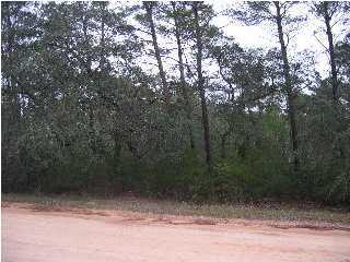 Xxx Taurus Drive Santa Rosa Beach, FL 32459 - Photo 3 of 4 Additional Photo