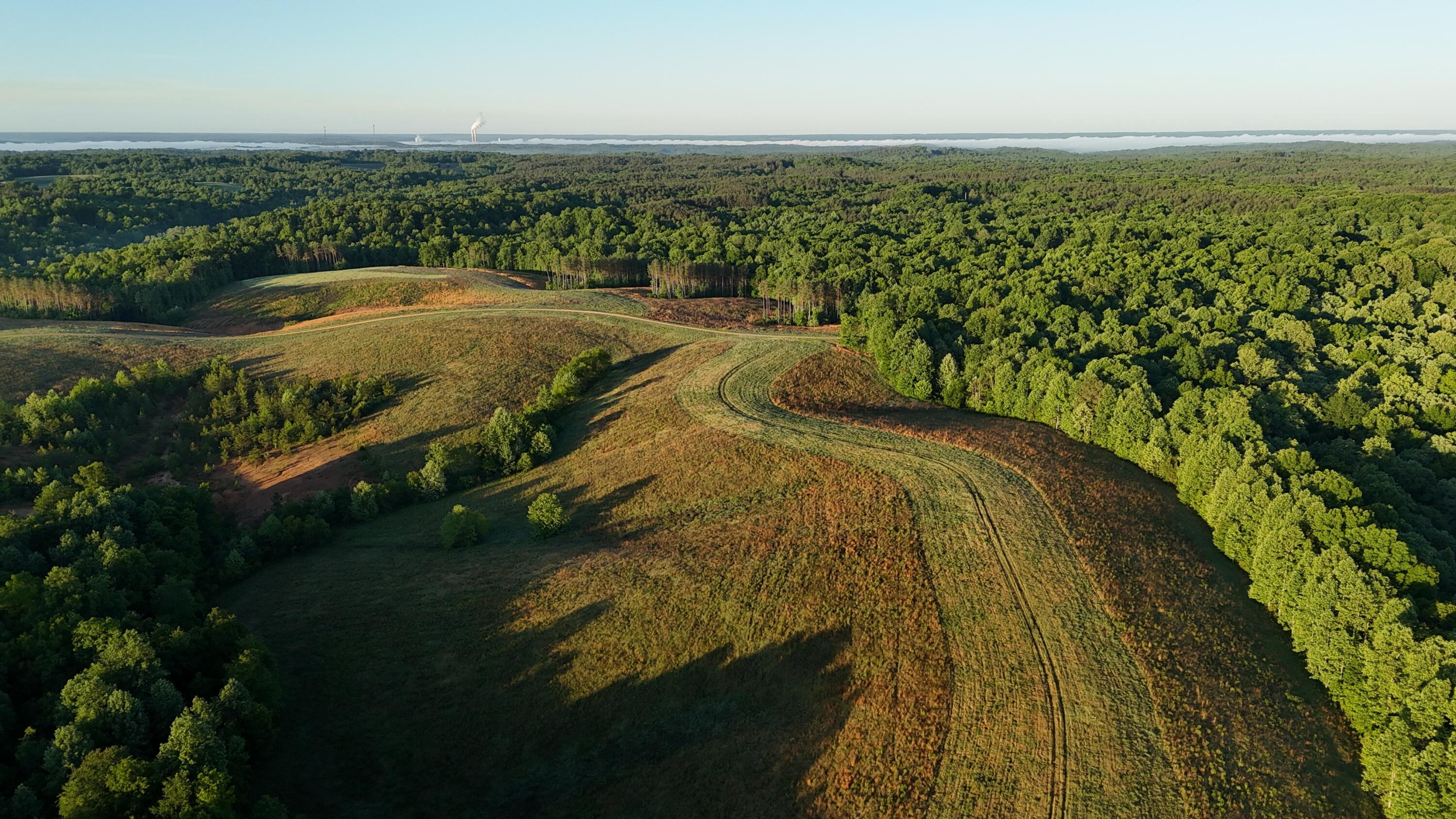 7 7 Mile Ridge Road Indian Mound, TN 37079 - Photo 10 of 24 DJI_20260508082836_0411_D