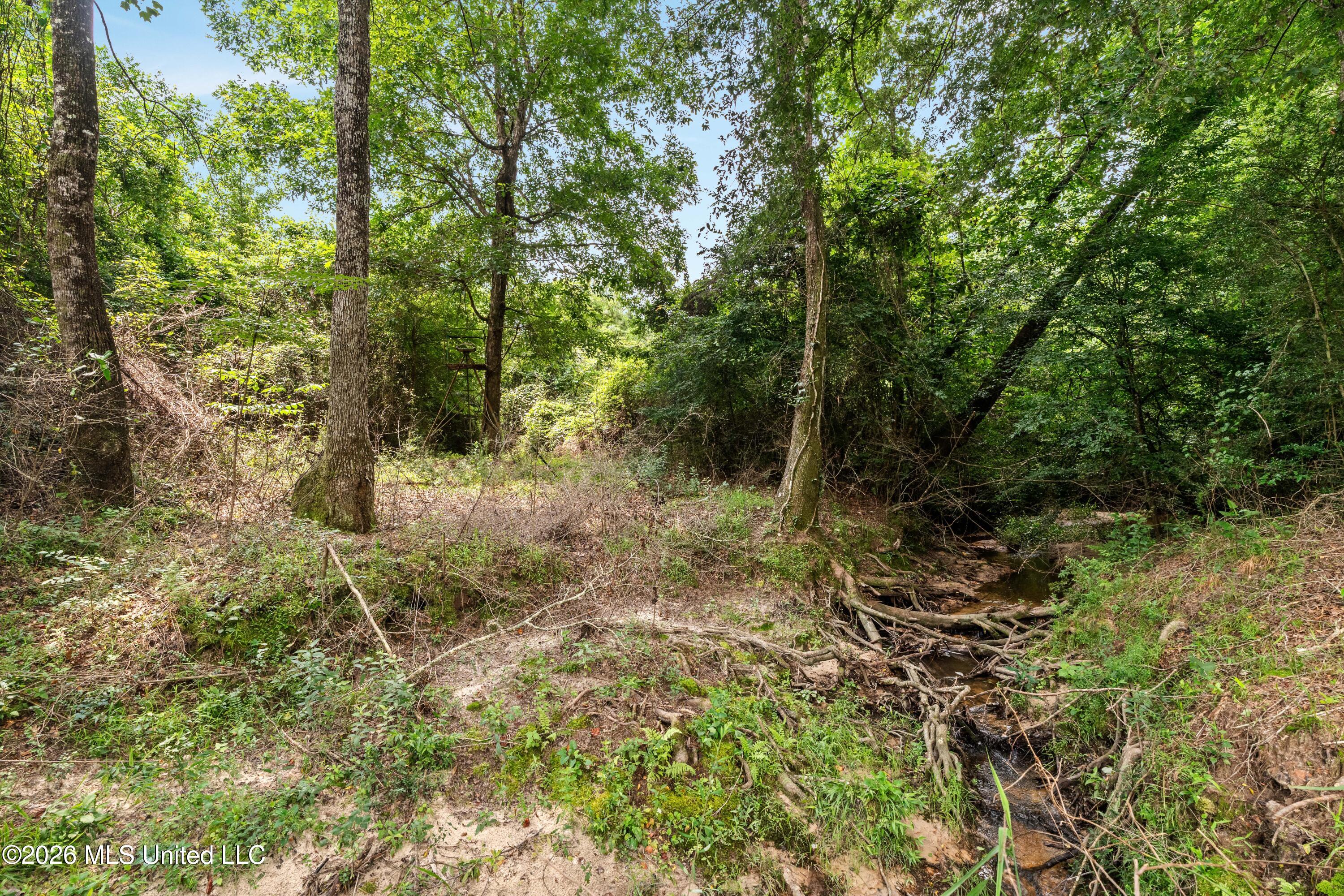 232 Knoxo Columbia Road Tylertown, MS 39667 - Photo 87 of 120 232_Knoxo_Columbia_Rd-86