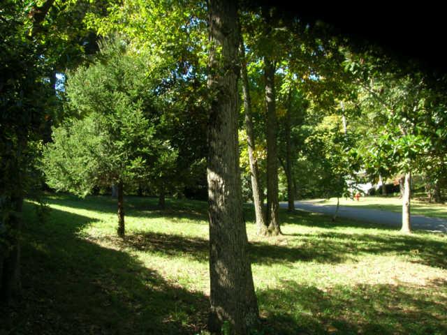 800 Deer Run Springfield, TN 37172 - Photo 13 of 13 Spacious, Private Front yard