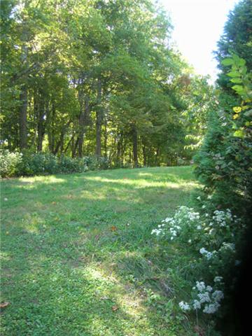 800 Deer Run Springfield, TN 37172 - Photo 10 of 13 Private Area behind Property