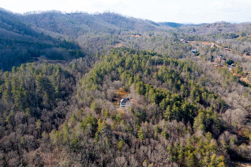 416 Tobe Stalcup Road Murphy, NC 28906 - Photo 2 of 61 Gallery Image 2