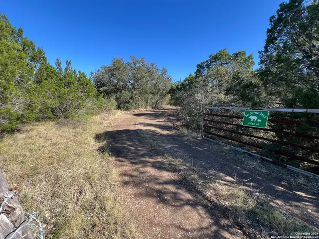 a view of backyard with green space