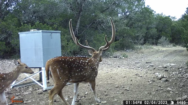 a backyard of a house with lots of green space and outdoor seating