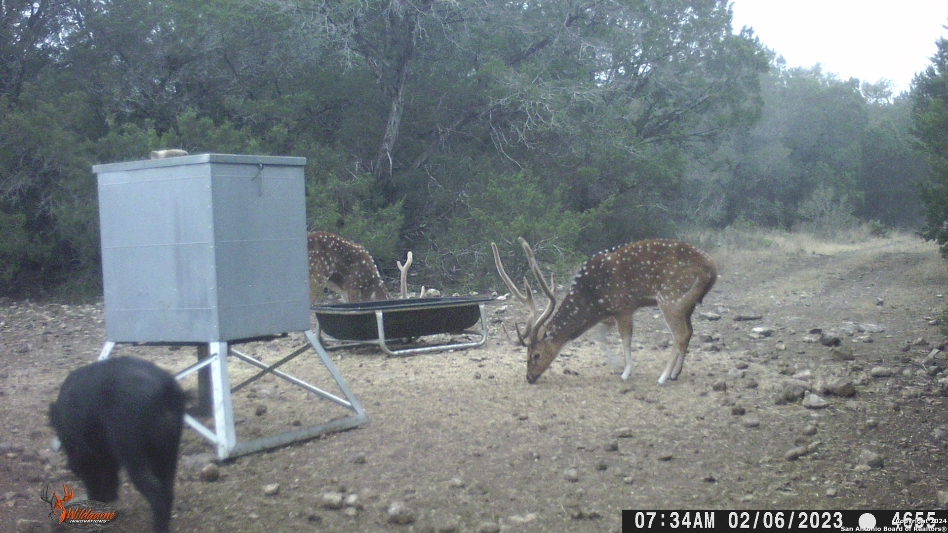 Tbd Tbd Brackettville, TX 78832 - Photo 4 of 13