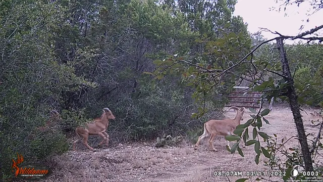 a terrace with table and chairs